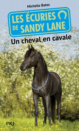 Michelle Bates - Les écuries de Sandy Lane Tome 7 : Un cheval en  cavale.