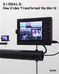 Signals: The Politics of Video