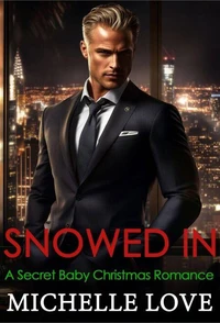 Snowed In: A Secret Baby Christmas Romance