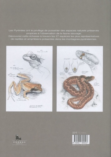 Reptiles & amphibiens pyrénéens