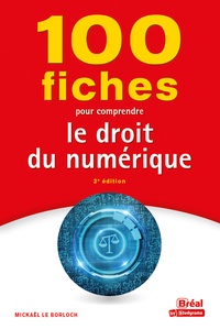 Mickaël Le Borloch - 100 fiches pour comprendre le droit du numérique.
