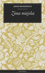 Zima miejska