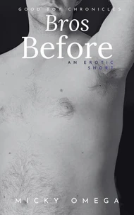 Bros Before