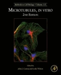 Microtubules, in vitro 2E.