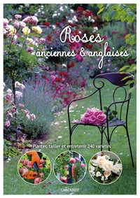 Roses anciennes & anglaises