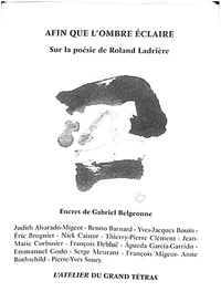 Afin que l'ombre s'éclaire - sur la poésie de Roland Ladrière