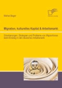 Migration, kulturelles Kapital & Arbeitsmarkt: Orientierungen, Strategien und Probleme von MigrantInnen beim Einstieg in den deutschen Arbeitsmarkt.