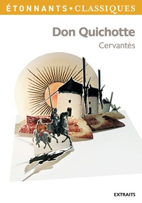 E book télécharger gratuitement Don Quichotte en francais  9782080722348