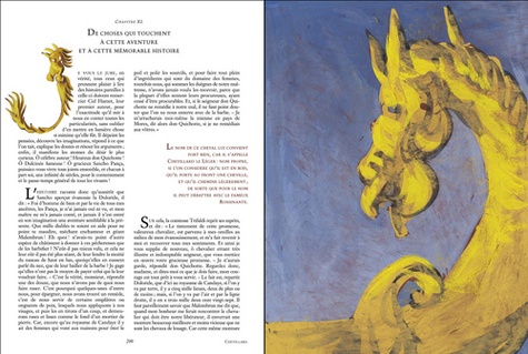 L'ingénieux Hidalgo Don Quichotte de la Manche  Coffret 2 volumes