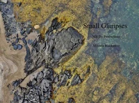 Small Glimpses