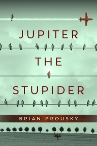  Miika Hannila et  Brian Prousky - Jupiter the Stupider.