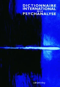 Dictionnaire International De La Psychanalyse Coffret 2 Volumes