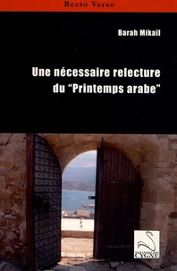 Une nécessaire relecture du "Printemps arabe"