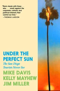 Under the Perfect Sun