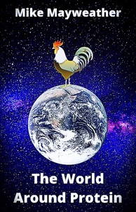 The World Around Protein