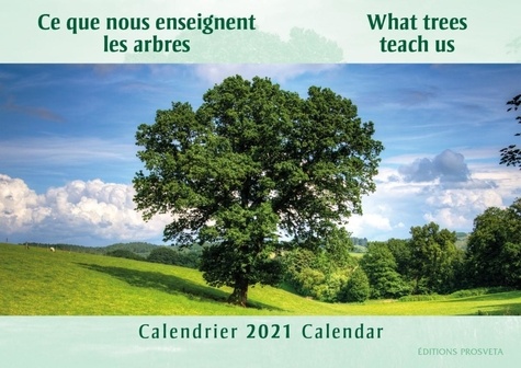 Calendrier 2021 : "ce que nous enseignent les arbres"