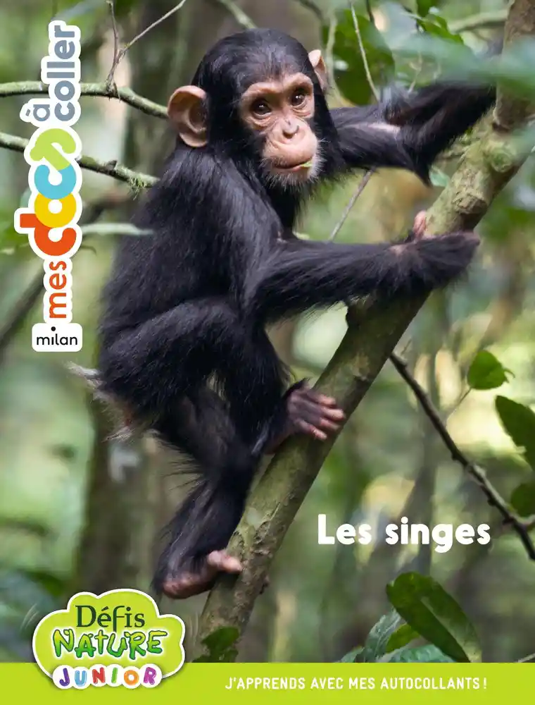 couverture de : Les singes