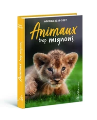 Animaux trop mignons