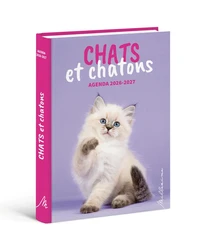 Chats et chatons