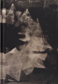 Les enfantillages pittoresques