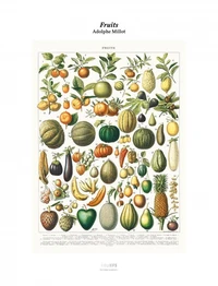 Fruits