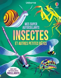 Insectes et autres petites bêtes