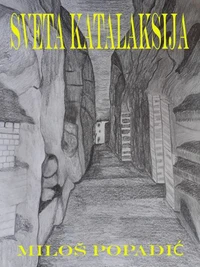 Sveta katalaksija