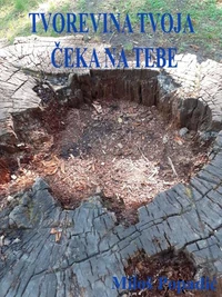Tvorevina Tvoja čeka na Tebe