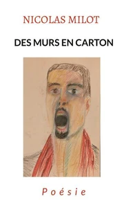 Des murs en carton