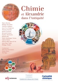 Téléchargez book pdfs gratuitement en ligne Chimie et Alexandrie dans l’Antiquité par Minh-Thu Dinh-Audouin, Danièle Olivier, Paul Rigny (French Edition)