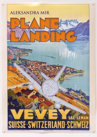 Plane Landing Vevey