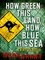 How Green This Land, How Blue this Sea. A Newsflesh Novella