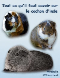 Tout ce qu'il faut savoir sur le cochon d'inde