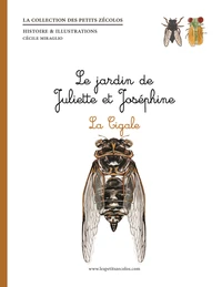 La cigale