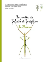 Le Phasme