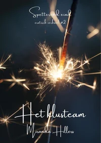 Het klusteam