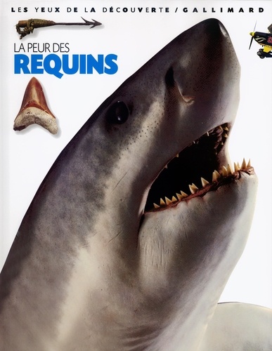 Miranda MacQuitty - La Peur Des Requins.