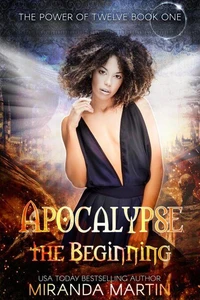 Apocalypse the Beginning: A Post Apocalyptic Reverse Harem Romance
