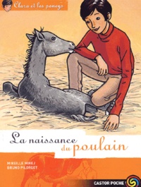 Mireille Mirej - Clara et les poneys Tome 3 : La naissance du poulain.