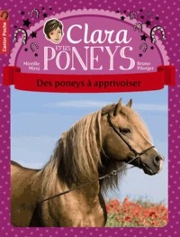 Des poneys à apprivoiser