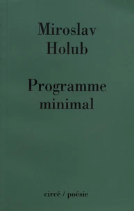 Programme minimal