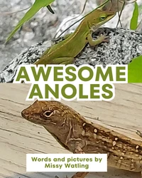 Awesome Anoles
