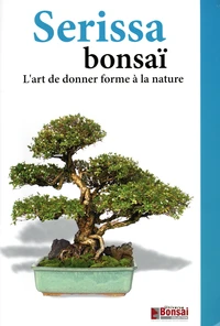 Serissa Bonsaï