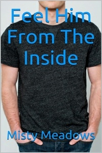  Misty Meadows - Feel Him From The Inside (Gay Romance, First Time).