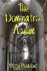 The Dominatrix Asylum (Female Domination, BDSM)