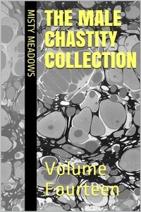  Misty Meadows - The Male Chastity Collection: Volume Fourteen.