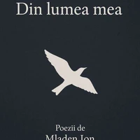 Din lumea mea