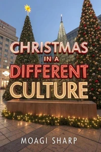 Christmas  In a Different  Culture