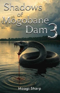 Shadows of Mogobane Dam 3