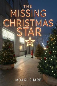 The Missing Christmas  Star